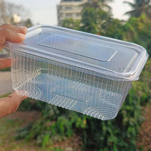 ClearPlasticFoodContainerwithHingedLid_1 - Bakeyy.com