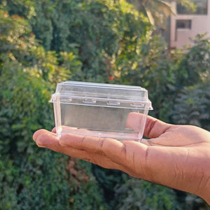 D79_Clear_Rectangle_Plastic_Dessert_Container_with_Lid_3 - Bakeyy.com