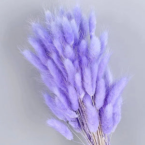 Dried_Bunny_Tail_Grass_Stems_11 - Bakeyy.com
