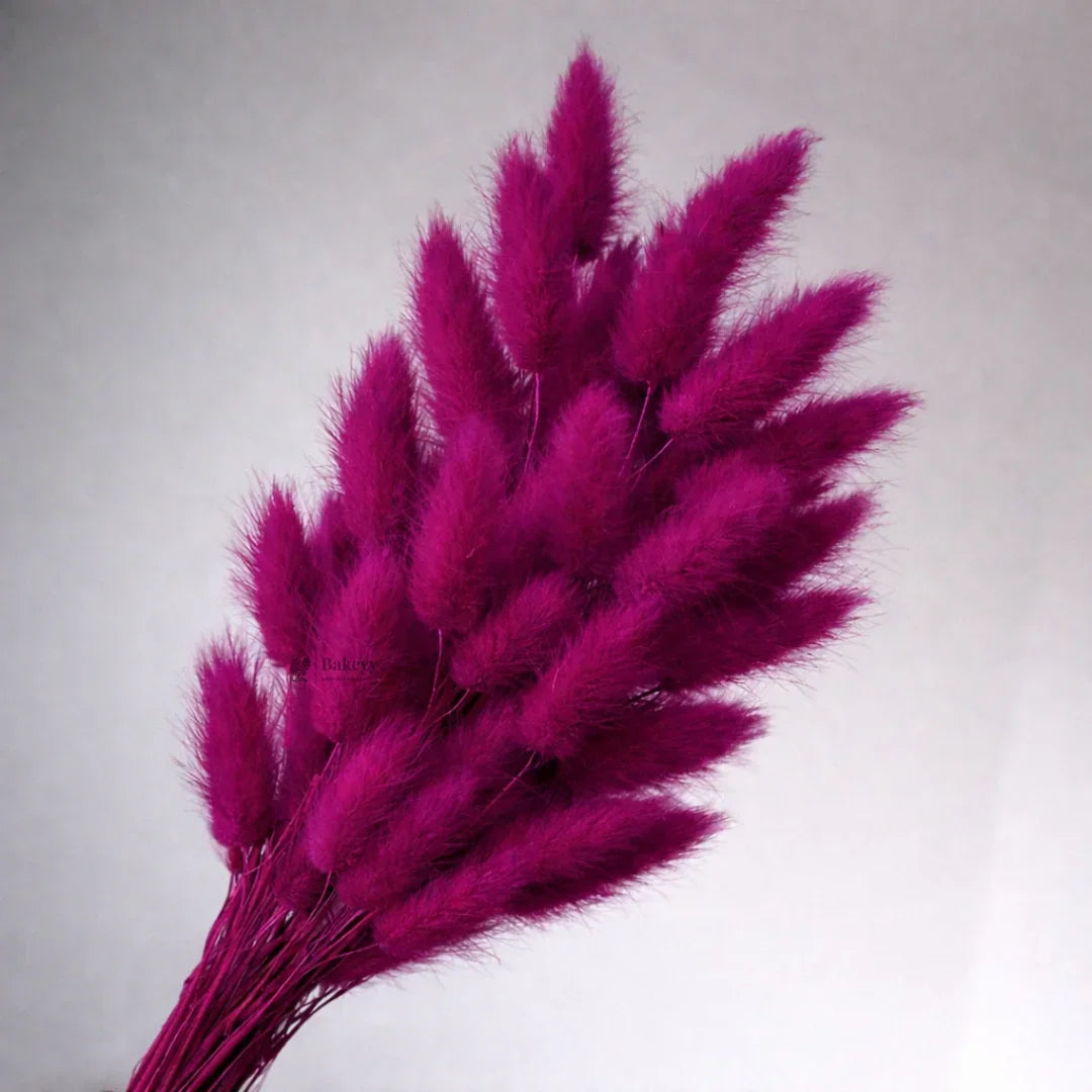Dried_Bunny_Tail_Grass_Stems_12 - Bakeyy.com