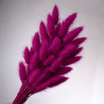 Dried_Bunny_Tail_Grass_Stems_12 - Bakeyy.com