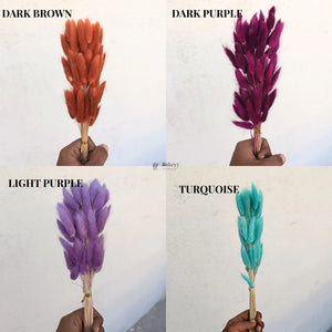 Dried_Bunny_Tail_Grass_Stems_17 - Bakeyy.com