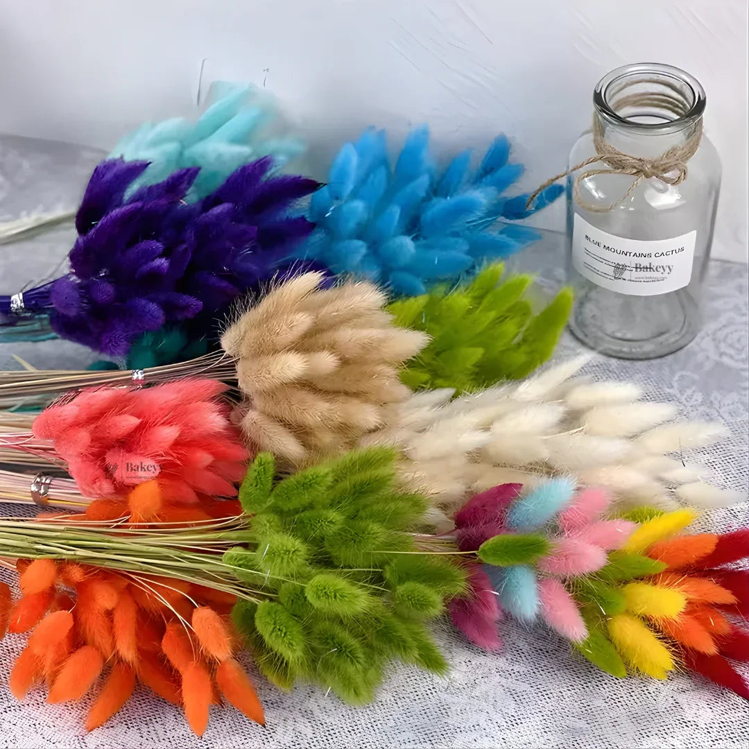Dried Bunny Tail Grass Stems | Decorative Pampas Style Flowers | Long Stem | Multiple Color Options | 1 Bunch | 30-40 Bunny Tails per Bunch