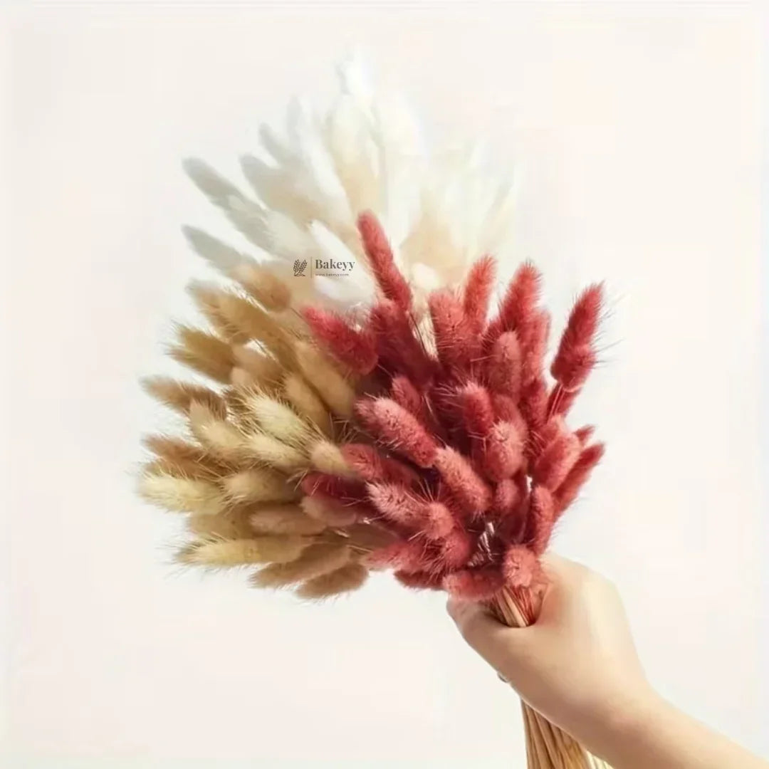 Dried_Bunny_Tail_Grass_Stems_5 - Bakeyy.com