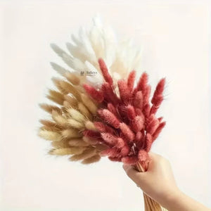 Dried_Bunny_Tail_Grass_Stems_5 - Bakeyy.com