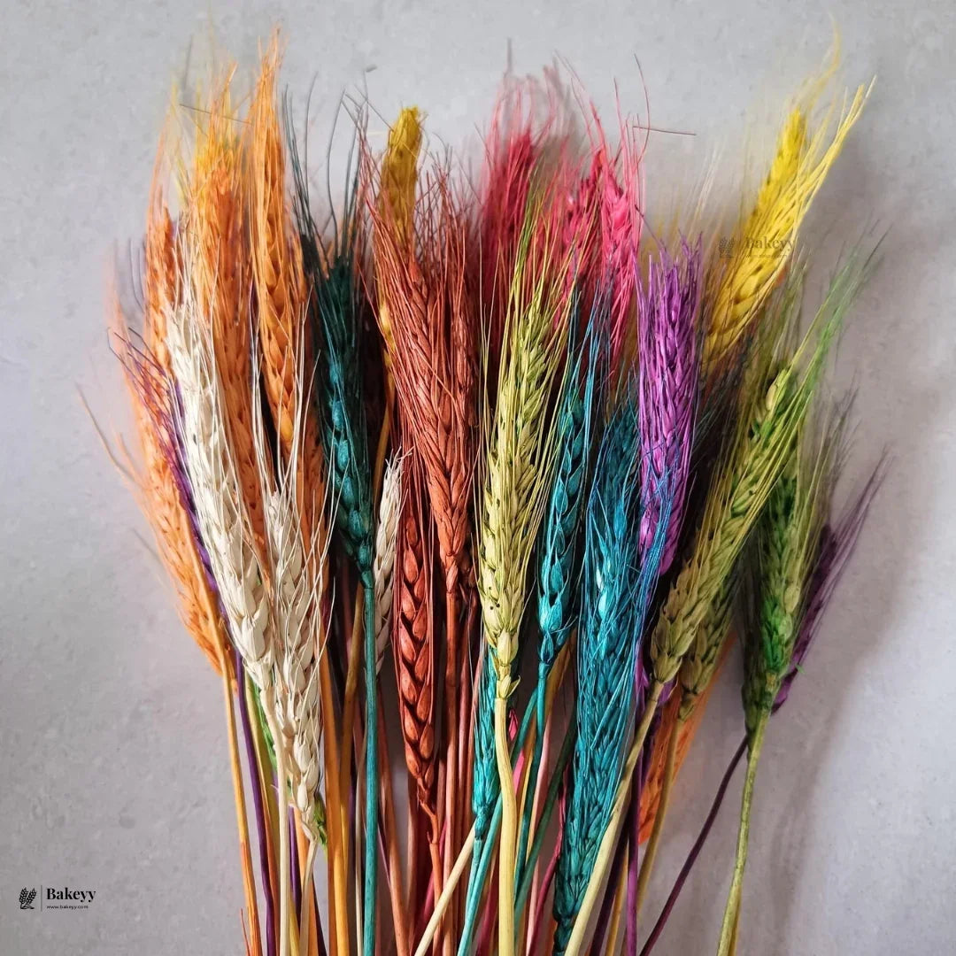 Dried Wheat Stems for Décor | Long Stem Natural Floral Accent | Decorative Bunch | Multiple Color Options | 45 - 55 Stems | 1 Bunch - Bakeyy.com - India - Dried Wheat Stems for Décor | Long Stem Natural Floral Accent | Decorative Bunch | Multiple Color Options | 45 - 55 Stems | 1 Bunch - Yellow 150.00