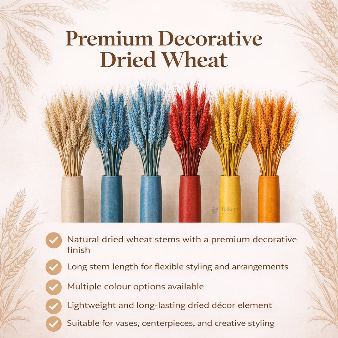 Dried Wheat Stems for Décor | Long Stem Natural Floral Accent | Decorative Bunch | Multiple Color Options | 45 - 55 Stems | 1 Bunch