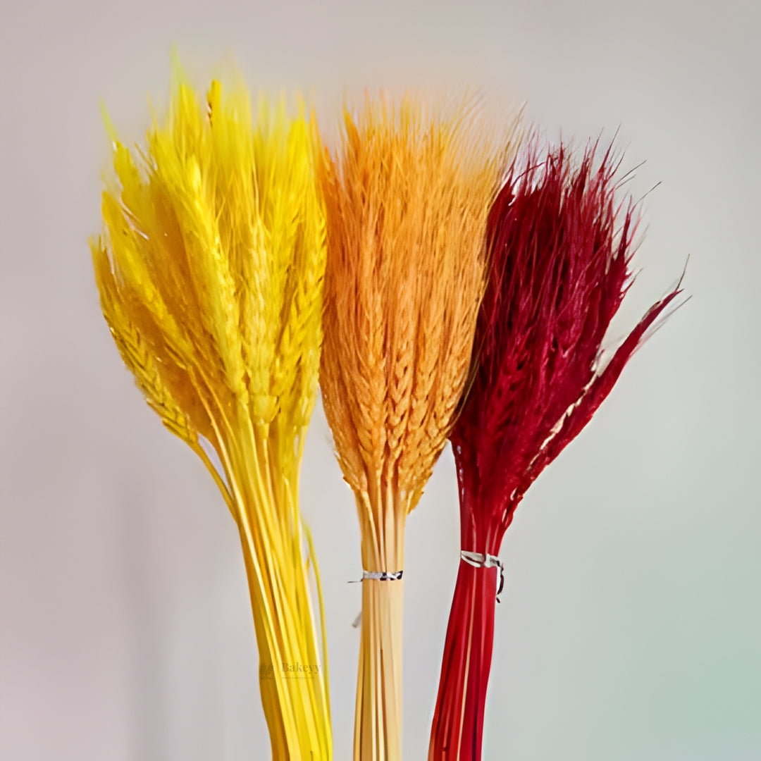 Dried Wheat Stems for Décor | Long Stem Natural Floral Accent | Decorative Bunch | Multiple Color Options | 45 - 55 Stems | 1 Bunch