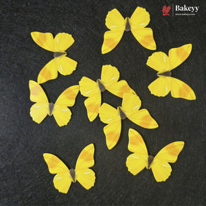 Pastel Wing Butterfly Cake Topper For Cake Decoration | 10 Butterfly Per Pack | Pack of 1