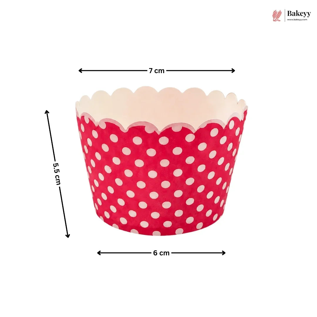 Red polka dot cupcake liner with measurements on a white background
