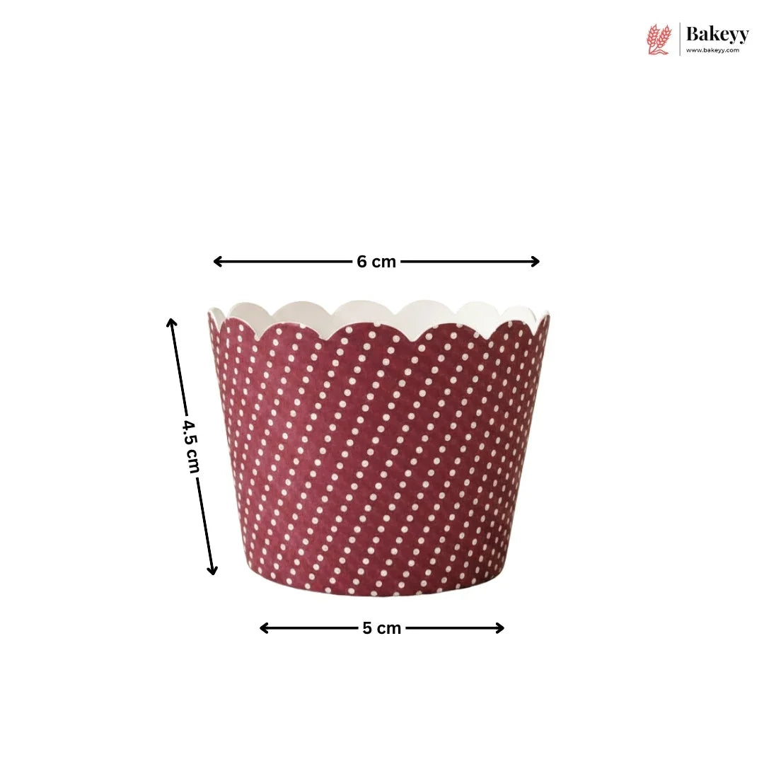 Red and white polka dot cupcake liner with measurements on a white background