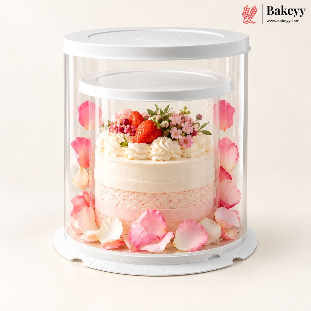 Round Transparent Cake Box with White Lid & Base | Flower Petal Cake Packaging Box | Pack of 5