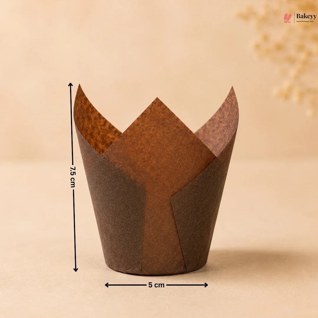 Brown cupcake liner with measurements on a beige background