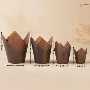 Set of brown paper cupcake liners with measurements on a beige background