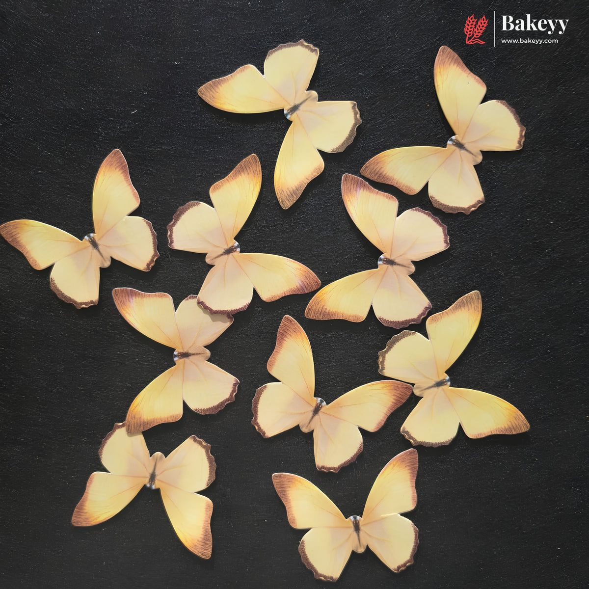 Pastel Wing Butterfly Cake Topper For Cake Decoration | 10 Butterfly Per Pack | Pack of 1
