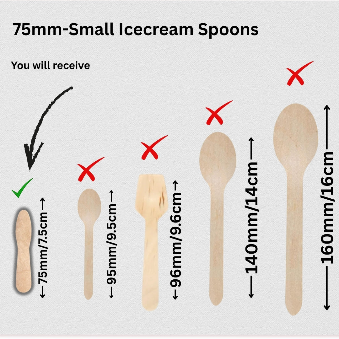 Wooden Disposable Spoons | Pack of 100