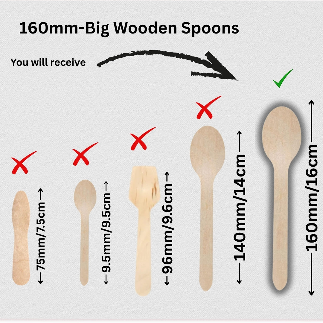 Wooden Disposable Spoons | Pack of 100