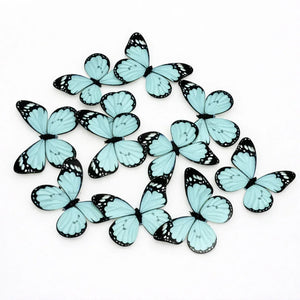 butterfly_topper_25 - Bakeyy.com