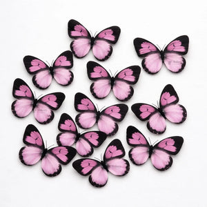 butterflytopper_86 - Bakeyy.com