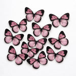 butterflytopper_87 - Bakeyy.com