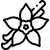 vanilla - Bakeyy.com IN