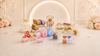 PVC Goodie Boxes - Bakeyy.com