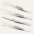 Stainless Steel Precision Tweezers Set | 4-Piece Sugar craft & Baking Tools - Bakeyy.com - India - Stainless Steel Precision Tweezers Set | 4-Piece Sugar craft & Baking Tools - Default Title