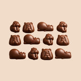 12 Cavity Capybara Silicone Chocolate Mould | Pack of 1