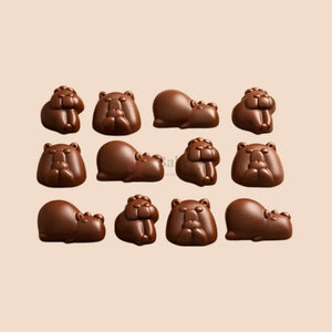 12_Cavity_Capybara_Silicone_Chocolate_Mould_5 - Bakeyy.com