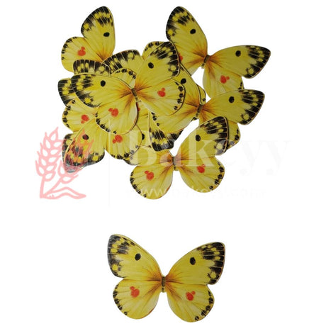 10 pcs Speckled Charm Butterfly Cake Topper – 6.5x4 cm – 6 Vibrant Colour Options for Decorative Cakes - Bakeyy.com - India - 10 pcs Speckled Charm Butterfly Cake Topper – 6.5x4 cm – 6 Vibrant Colour Options for Decorative Cakes - G4-Yellow