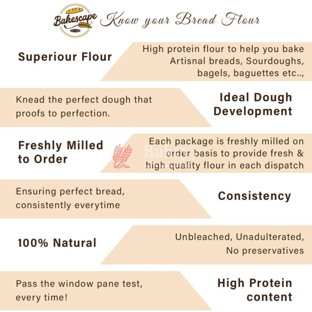 Bakescape T65 Bread Flour (1 kg) | Unbleached, High Protein Content for Perfect Breads, Buns, Bagels, Baguettes, Sourdoughs, Artisanal Breads, Focaccia, Brioche, and More - Bakeyy.com - India - Bakescape T65 Bread Flour (1 kg) | Unbleached, High Protein Content for Perfect Breads, Buns, Bagels, Baguettes, Sourdoughs, Artisanal Breads, Focaccia, Brioche, and More - Default Title