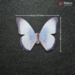 Pastel Wing Butterfly Cake Topper For Cake Decoration | 10 Butterfly Per Pack | Pack of 1