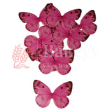 10 pcs Speckled Charm Butterfly Cake Topper – 6.5x4 cm – 6 Vibrant Colour Options for Decorative Cakes - Bakeyy.com - India - 10 pcs Speckled Charm Butterfly Cake Topper – 6.5x4 cm – 6 Vibrant Colour Options for Decorative Cakes - G7-Pink