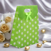 6x8-inch-pvc-bag-polka-dot-with-bow-or-medium-or-green-colour-or-pack-of-10-bakeyy-com-1 - Bakeyy.com
