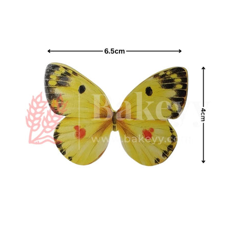 10 pcs Speckled Charm Butterfly Cake Topper – 6.5x4 cm – 6 Vibrant Colour Options for Decorative Cakes - Bakeyy.com - India - 10 pcs Speckled Charm Butterfly Cake Topper – 6.5x4 cm – 6 Vibrant Colour Options for Decorative Cakes - G2-Blue
