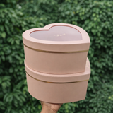 Heart Shape Transparent Lid Gift Box | Premium Hamper Packaging | Different color | Pack of 1