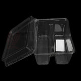 Two Compartment PET Box with Lid | Pack of 50 | Perfect for Churros & Chocolate sauce