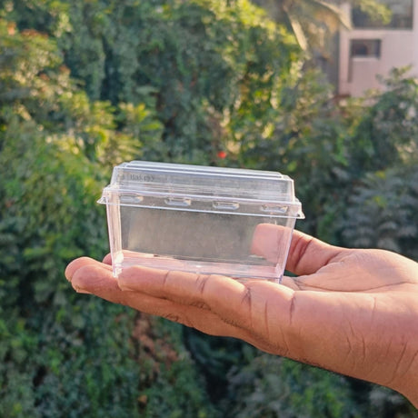 D79 | Clear Rectangle Plastic Dessert Container with Lid | Pack of 20