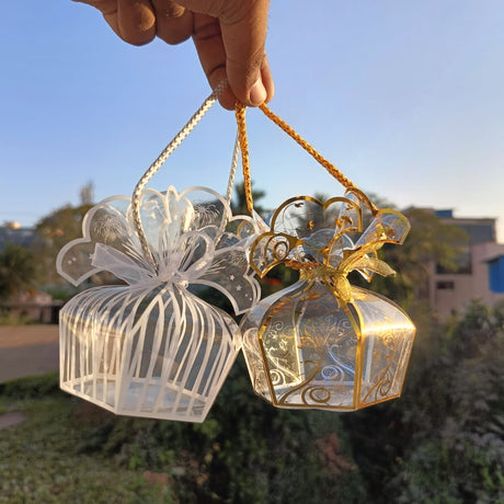 Decorative PVC Goodie Box with Matching Handle & Organza Ribbon | Premium Gift & Favor Packaging | Available in 2 Colors | Pack of 10