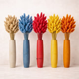 Dried Bunny Tail Grass Stems | Decorative Pampas Style Flowers | Long Stem | Multiple Color Options | 1 Bunch