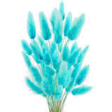 Dried Bunny Tail Grass Stems | Decorative Pampas Style Flowers | Long Stem | Multiple Color Options | 1 Bunch