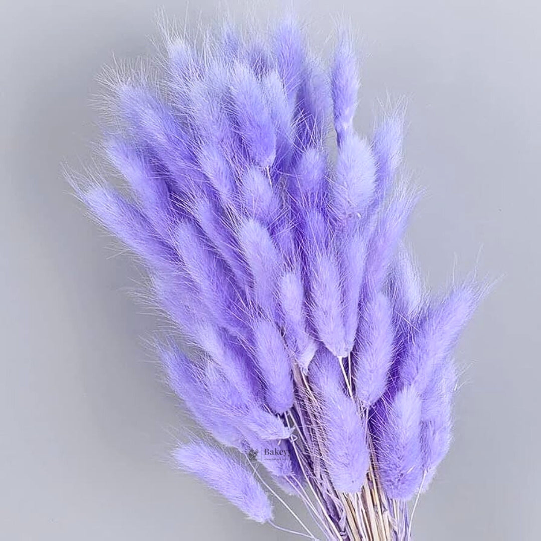 Dried Bunny Tail Grass Stems | Decorative Pampas Style Flowers | Long Stem | Multiple Color Options | 1 Bunch