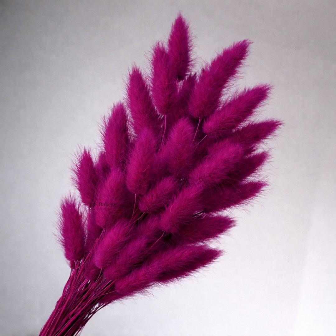 Dried Bunny Tail Grass Stems | Decorative Pampas Style Flowers | Long Stem | Multiple Color Options | 1 Bunch