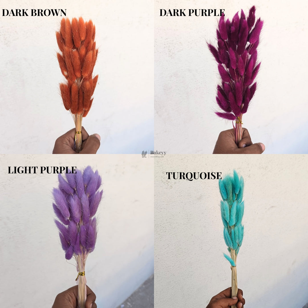 Dried Bunny Tail Grass Stems | Decorative Pampas Style Flowers | Long Stem | Multiple Color Options | 1 Bunch