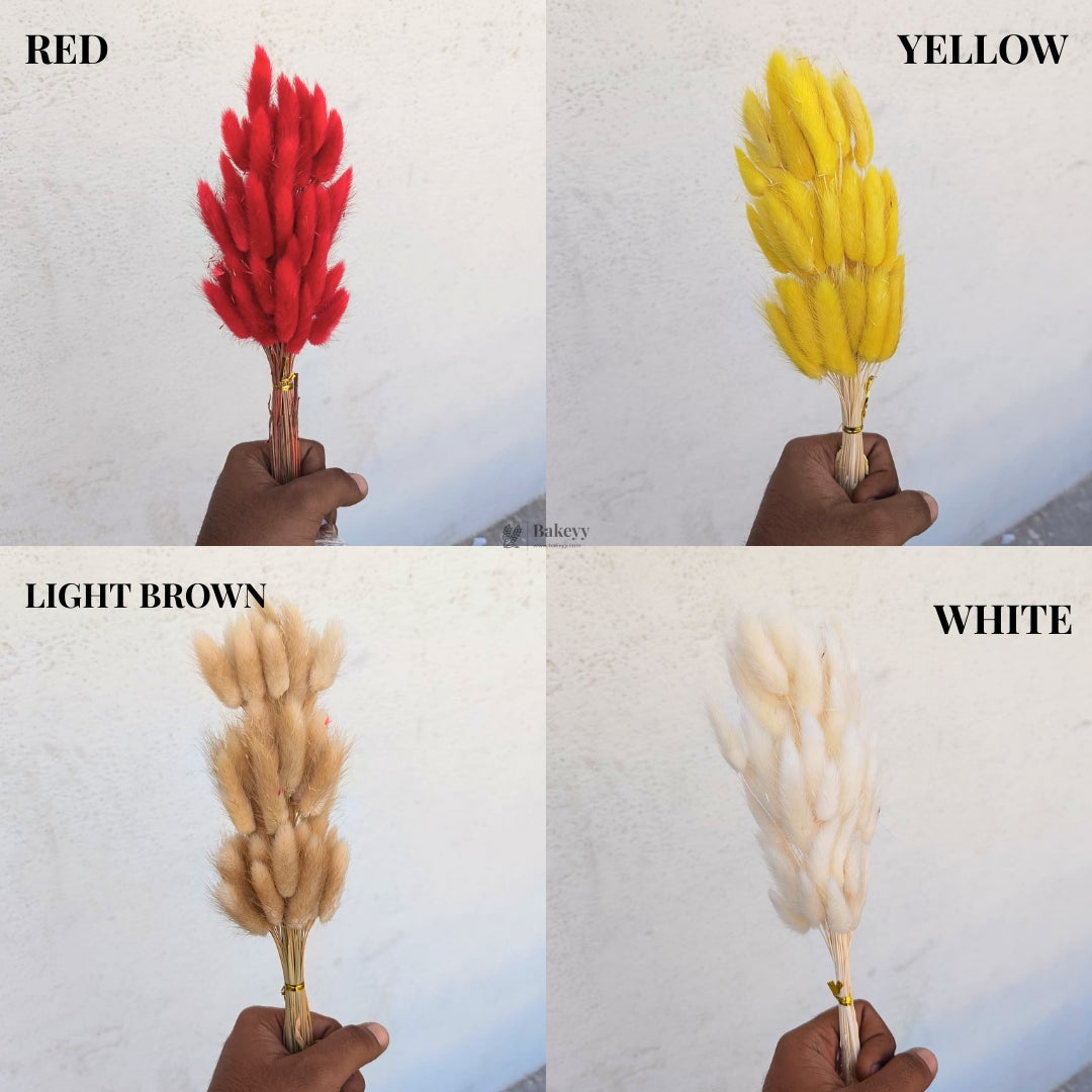 Dried Bunny Tail Grass Stems | Decorative Pampas Style Flowers | Long Stem | Multiple Color Options | 1 Bunch