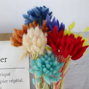 Dried_Bunny_Tail_Grass_Stems_20 - Bakeyy.com