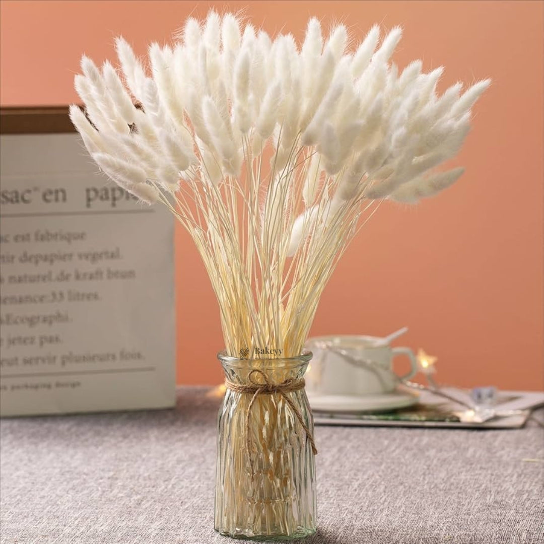 Dried Bunny Tail Grass Stems | Decorative Pampas Style Flowers | Long Stem | Multiple Color Options | 1 Bunch