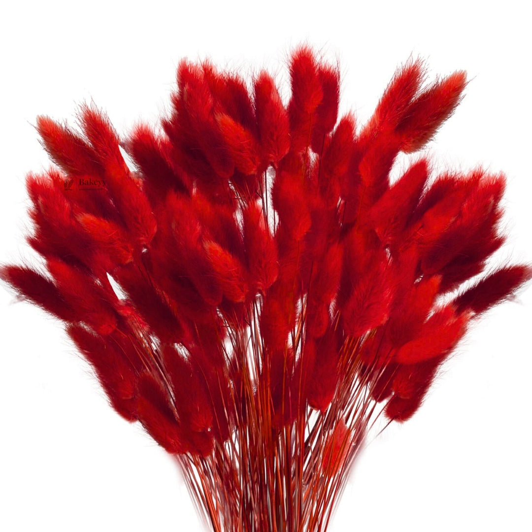 Dried Bunny Tail Grass Stems | Decorative Pampas Style Flowers | Long Stem | Multiple Color Options | 1 Bunch