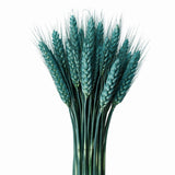Dried Wheat Stems for Décor | Long Stem Natural Floral Accent | Decorative Bunch | Multiple Color Options | 45 - 55 Stems | 1 Bunch