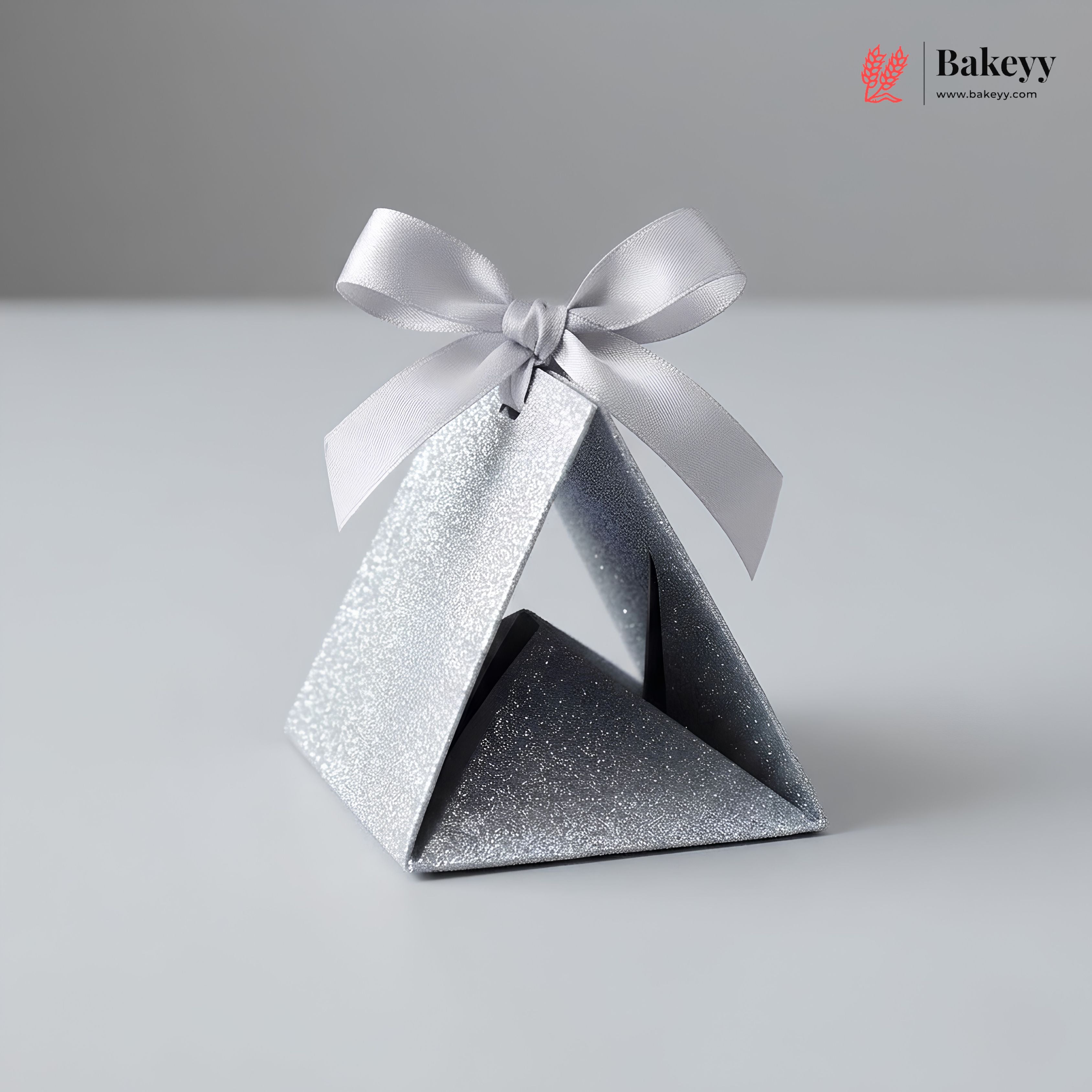 Gift Box Wedding Party Favor Box for Small Gift | Paper Box with Ribbon | Silver Color | Pack Of 10